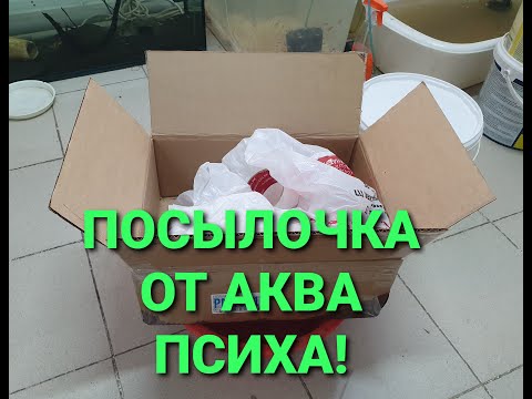 Видео: Долгожданная посылочка! Что пришло в нем?