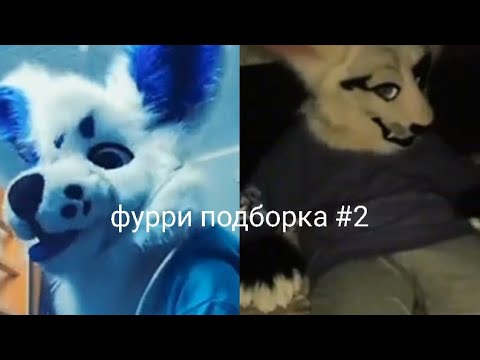 Видео: фурри подборка из тик тока#2