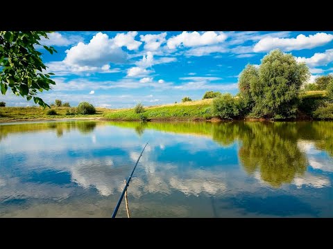 Видео: РЫБАЛКА НА КОРМАКИ ВОТ ЭТО КЛЕВ!