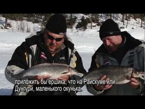 Видео: Рыбалка в Швеции, Сторуман - зима (часть 2/2)  / Ice fishing, Sweden