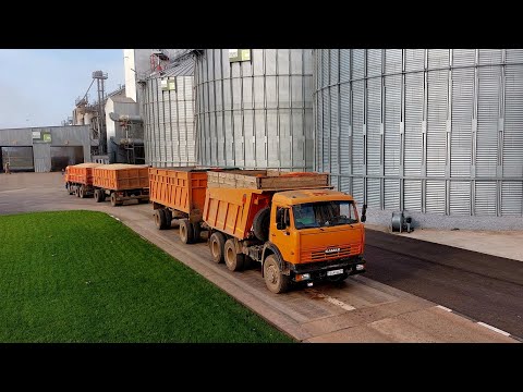 Видео: Уборка урожая 2023. Камаз 65115. Рейсы, мелкий ремонт...