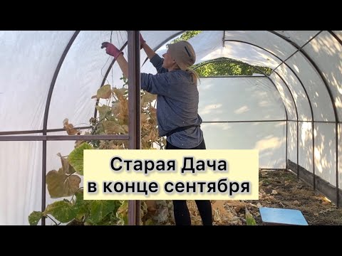 Видео: Пересадки в конце сентября 2024.