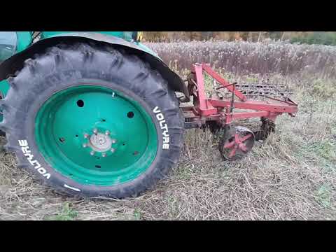 Видео: Т-40АМ " регулировка плуга в полевых условиях " новичком