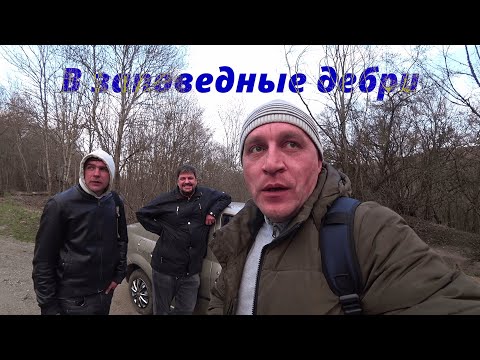 Видео: Дремучий восточный Бабуган. Идём на поиски Водопадов Головкинского