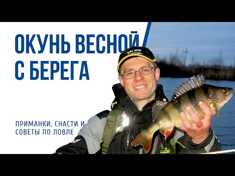 Видео: Как ловить окуня спиннингом с берега весной
