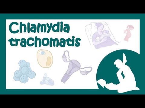 Видео: Chlamydia trachomatis (хламидия, хламидиоз) - причины, симптомы, лечение (микробиология лекция)