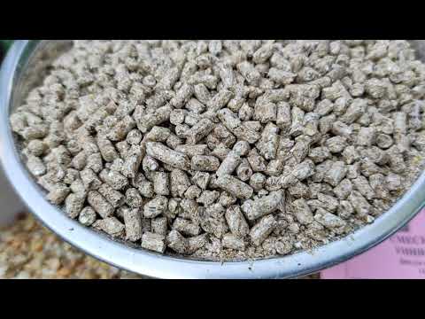 Видео: Рацион кормления Индоуток разных возрастов