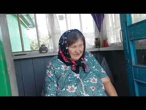Видео: Встреча с хорошими людьми.