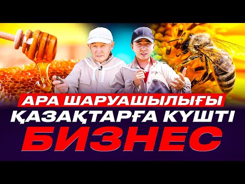 Видео: 1 семья 10 кг бал береді. 67 жасар ата, ара шаруашылығымен айналысып жатыр.