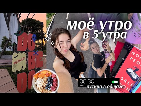 Видео: 5AM MORNING ROUTINE✨⛅️моё утро перед учёбой || тренировка, рассвет, grwm