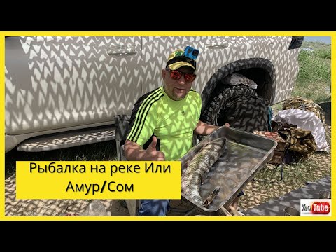 Видео: Рыбалка на реке Или/ Коктал июнь 2021/ Сом/ Амур/ Карась/ Часть1