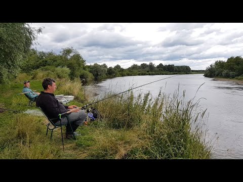 Видео: Фидер на Днепре. Голавль на Попкорн. Рыбалка с Ночёвкой. Ловля Голавля на Фидер.
