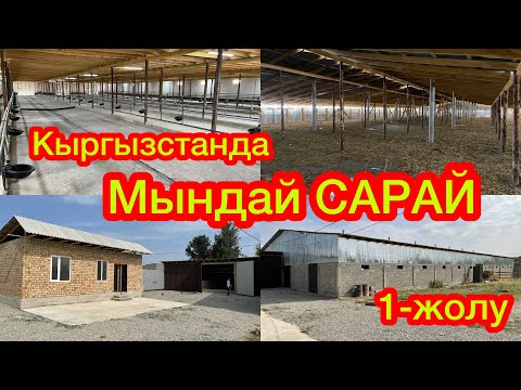 Видео: Мындай САРАЙ Кыргызстанда 1-жолу КУРУЛДУ  |  Көрсөң, ТАҢ КАЛАСЫҢ  |  САТЫЛАТ экен