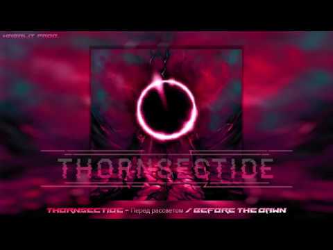 Видео: Thornsectide - Перед рассветом / Before the dawn / Dark electro