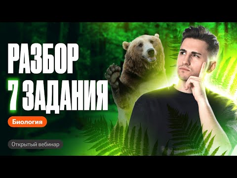 Видео: РАЗБОР 7 ЗАДАНИЯ | ОГЭ по биологии | Федор Агеев