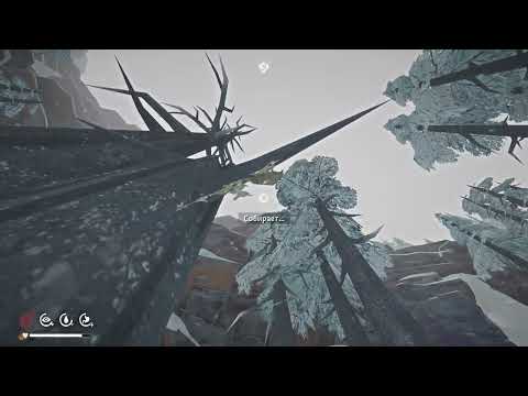 Видео: полтора часа ищу спички, вернулась в свое первое выживание