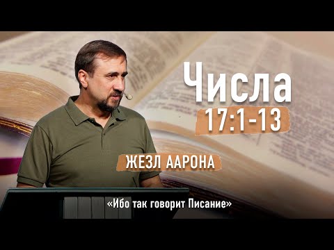 Видео: Библия - Числа Глава 17 стихи 1-13 - Жезл Аарона - Ибо так говорит Писание