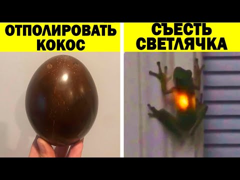 Видео: Что будет, если... (2 серия)