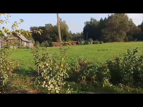 Видео: Уй 40м2, Ери 58 сотих, ГАЗ, Мактаб, Богча, Магазин. Посёлок Поречье, Великие Луки р-н 5.500$