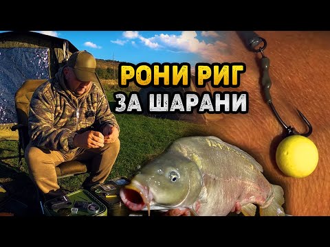 Видео: Rony rig  /Рони риг/ за шарани - За диваци край Враца - III част