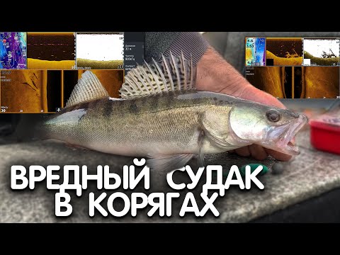 Видео: ГДЕ СУДАК??? ЧТО показывает ЭХОЛОТ? РАЗБОР скриншотов ЭХОЛОТА LOWRANCE HDS LIVE