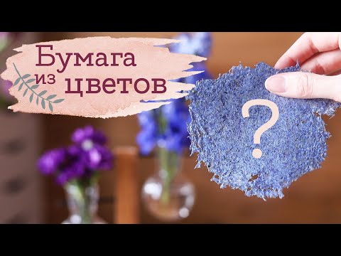 Видео: Пробую сделать БУМАГУ ИЗ ЦВЕТОВ | Masherisha