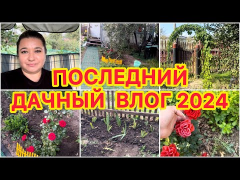 Видео: 🏡 ПОСЛЕДНИЙ ДАЧНЫЙ ВЛОГ #33: ПОСЛЕДНИЕ ПЕРЕСАДКИ / ОБЗОР УЧАСТКА ПЕРЕД ЗИМОВКОЙ / ЦВЕТЫ В СЕНТЯБРЕ