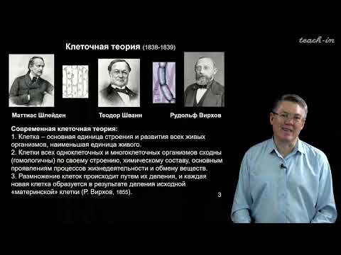 Видео: Дубынин В.А. - 100 часов школьной биологии - 2.9. Строение клетки