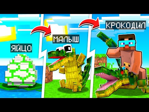 Видео: 😨 Майнкрафт но Мы Приручили КРОКОДИЛОВ и прокачали их!