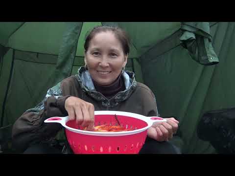 Видео: ВДВОЕМ на море за креветкой.   Эмоции ..