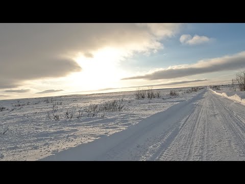 Видео: По дороге к Усинской плотине | Воркута | 23 апреля 2024 г.