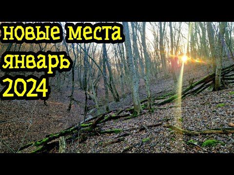 Видео: Поиск с металлоискателем, НОВЫЕ МЕСТА 2024!