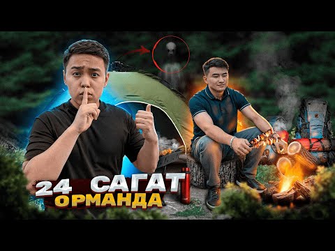 Видео: 24 сағат ОРМАНДА болдық // Адам жүрмейтін ҚОРҚЫНЫШТЫ орманда ТҮНЕДІК!
