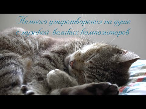 Видео: Немного умиротворения на душе с музыкой великих композиторов