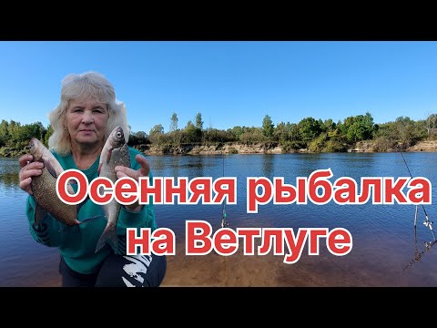 Видео: РЫБАЛКА НА ФИДЕР В МАРИЙ ЭЛ. УХА НА КОСТРЕ, ОТДЫХ ПОД СЕНЬЮ ДУБА.