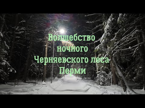 Видео: Волшебство ночного Черняевского леса города Перми