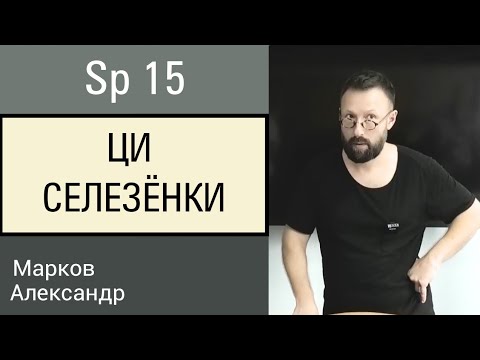 Видео: ЦИ СЕЛЕЗЕНКИ. ТОЧКА Sp15. ИГЛОУКАЛЫВАНИЕ. ФРАГМЕНТ СЕМИНАРА. КИТАЙСКАЯ МЕДИЦИНА.