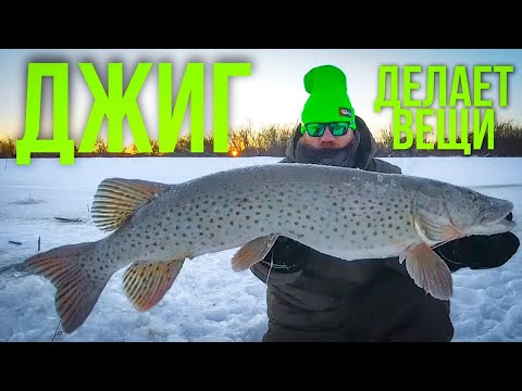 Видео: ОГРОМНАЯ приманка на ЩУКУ | Трофейная щука со льда | Зимняя рыбалка на Амуре 2025