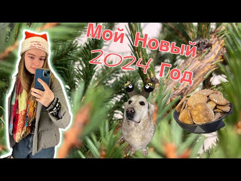 Видео: Мой Новый Год 2024🎄🎉🥰