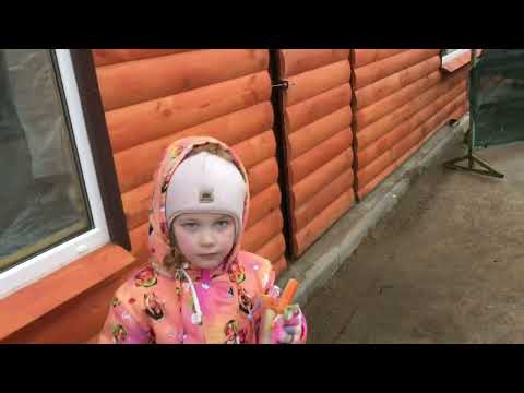 Видео: В Минском зоопарке