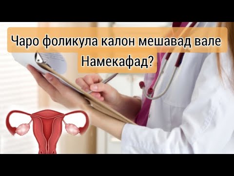 Видео: Сабабҳои накафидани фоликула, набудани овуляция? Чавоб ба саволхо #набуданиовуляция #хаётисолим