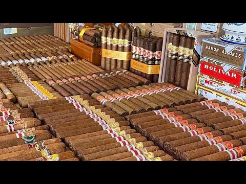 Видео: Всичко за пурите част 1