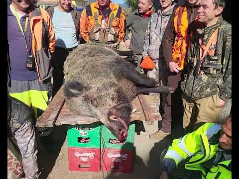 Видео: 22 октомври 2022 г.