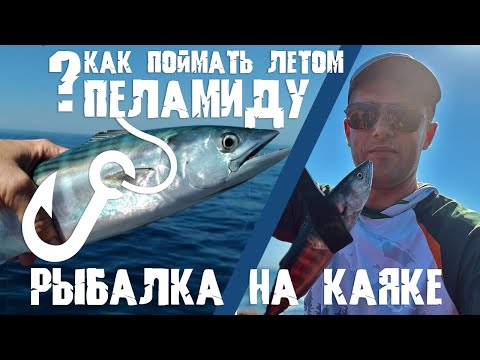 Видео: Как поймать пеламиду на Чёрном море? Ловим с каяка на троллинг и на пилькер. Лето 2024!