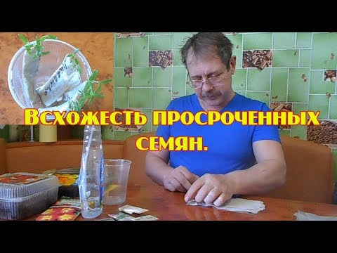 Видео: Можно ли сажать просроченные семена