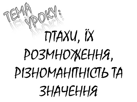 Видео: ПТАХИ, ЇХ РОЗМНОЖЕННЯ, РІЗНОМАНІТНІСТЬ ТА ЗНАЧЕННЯ