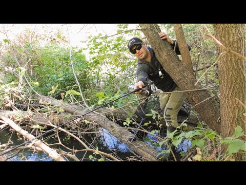 Видео: Цікава Риболовля на Спінінг