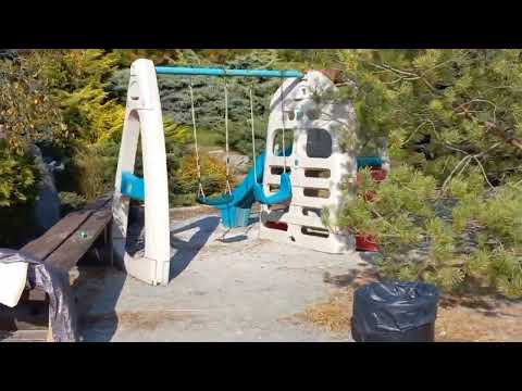 Видео: Сакура клуб. Парк рядом с городом. Отдых в парке осенью. #парк #паркприроды #nature park