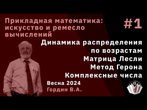 Видео: Прикладная математика: искусство и ремесло вычислений 1. Метод Герона, комплексные числа