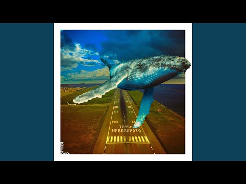 Видео: На спине у кита (Remastered)